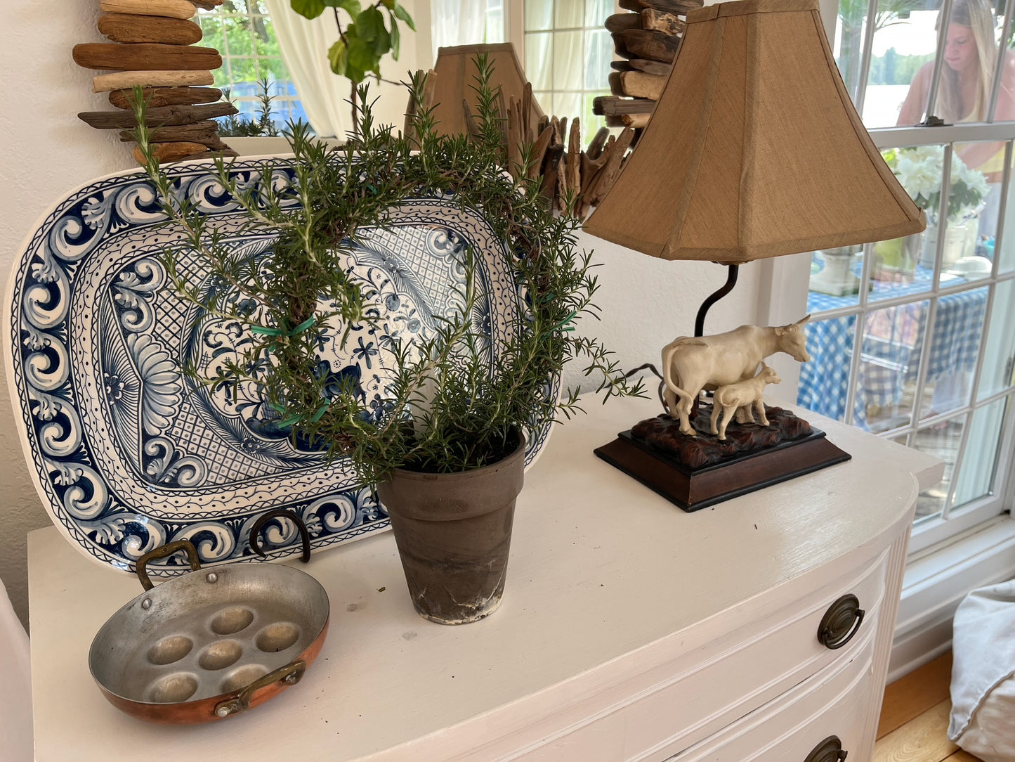 Live 8 inch Rosemary Ring in 5 inch pot