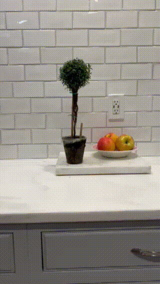 Live Single Ball Myrtle Topiary in 4 inch Pot