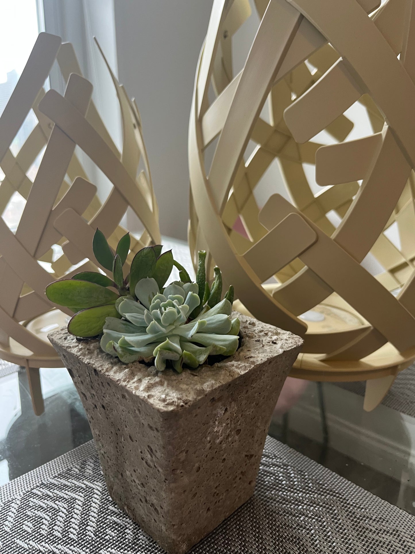 Succulent Arrangement In 4" Litestone Vase