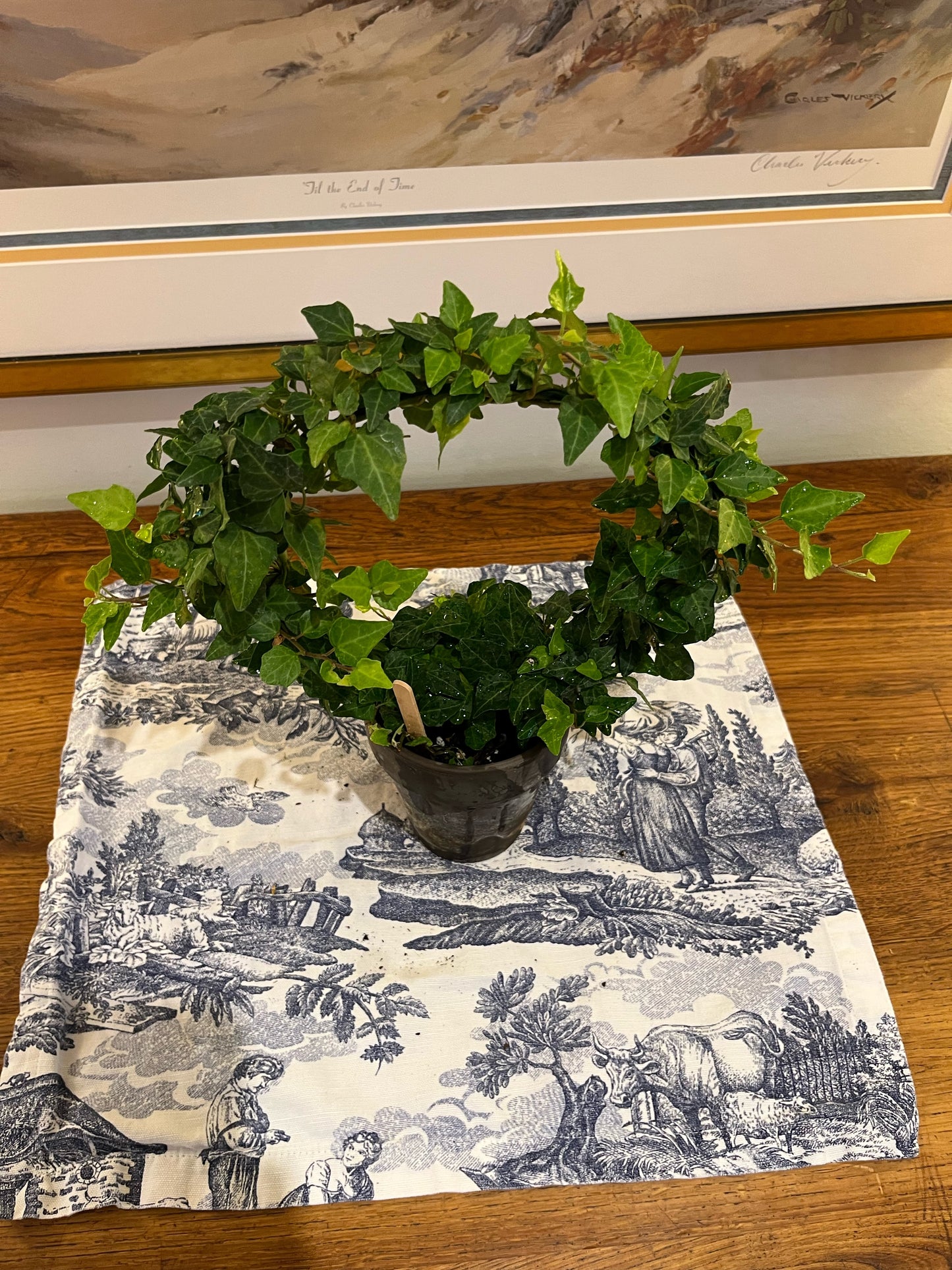 English Ivy Ring in 5 inch pot