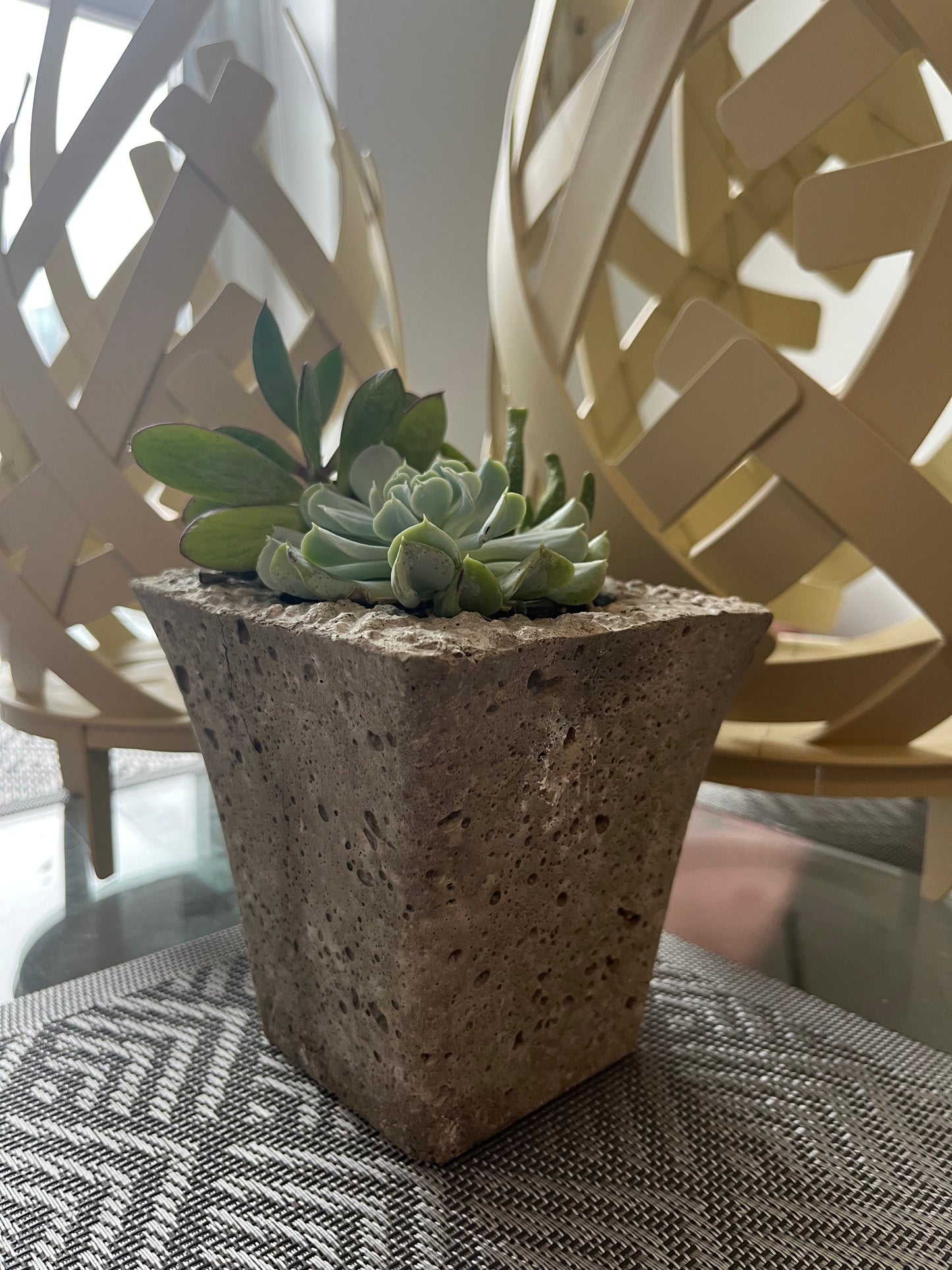 Succulent Arrangement In 4" Litestone Vase