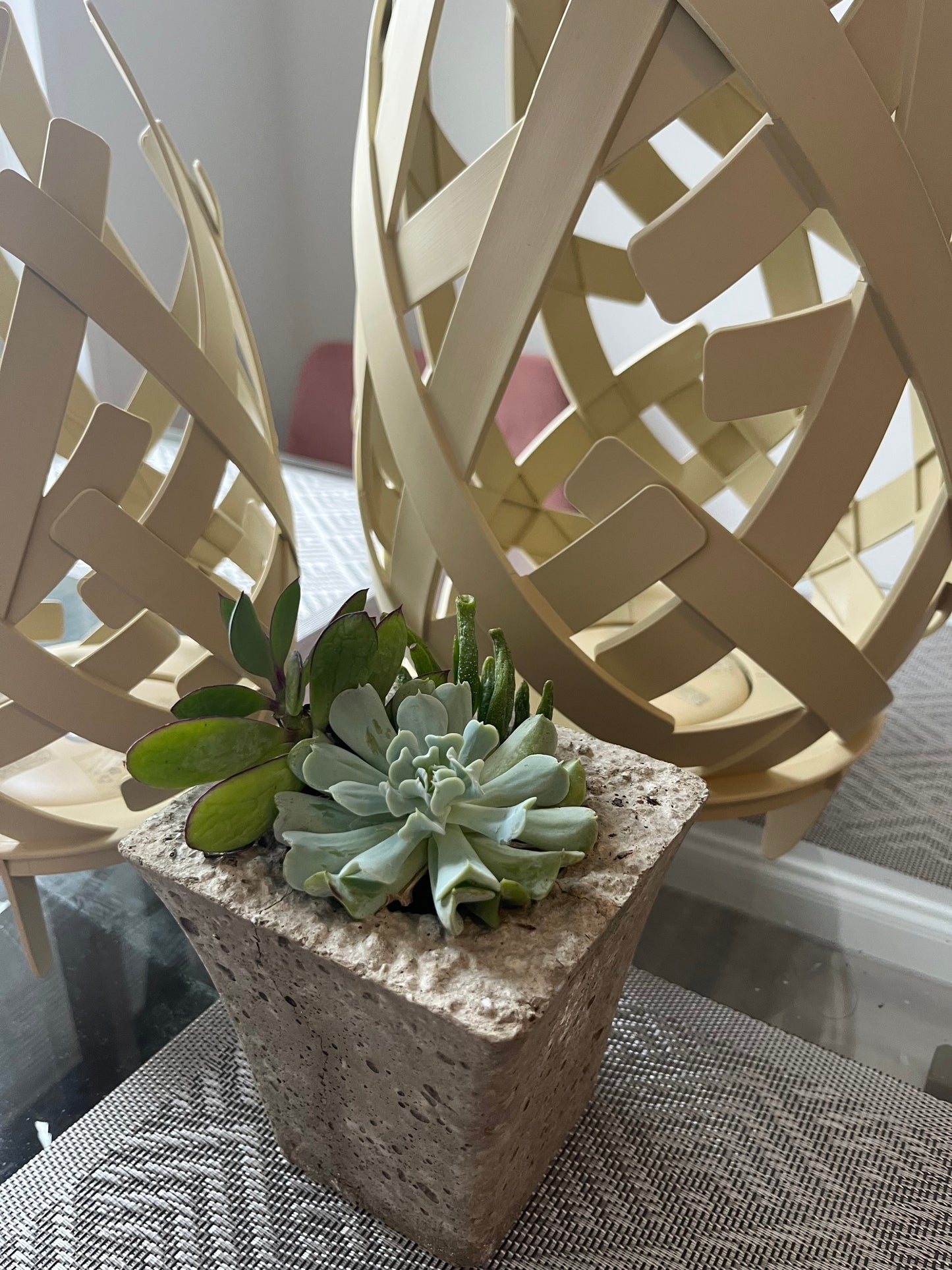 Succulent Arrangement In 4" Litestone Vase