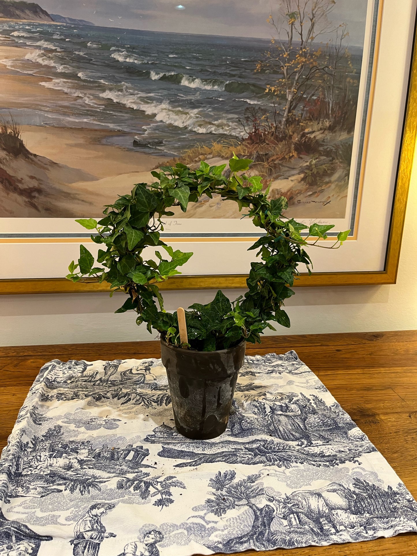 English Ivy Ring in 5 inch pot